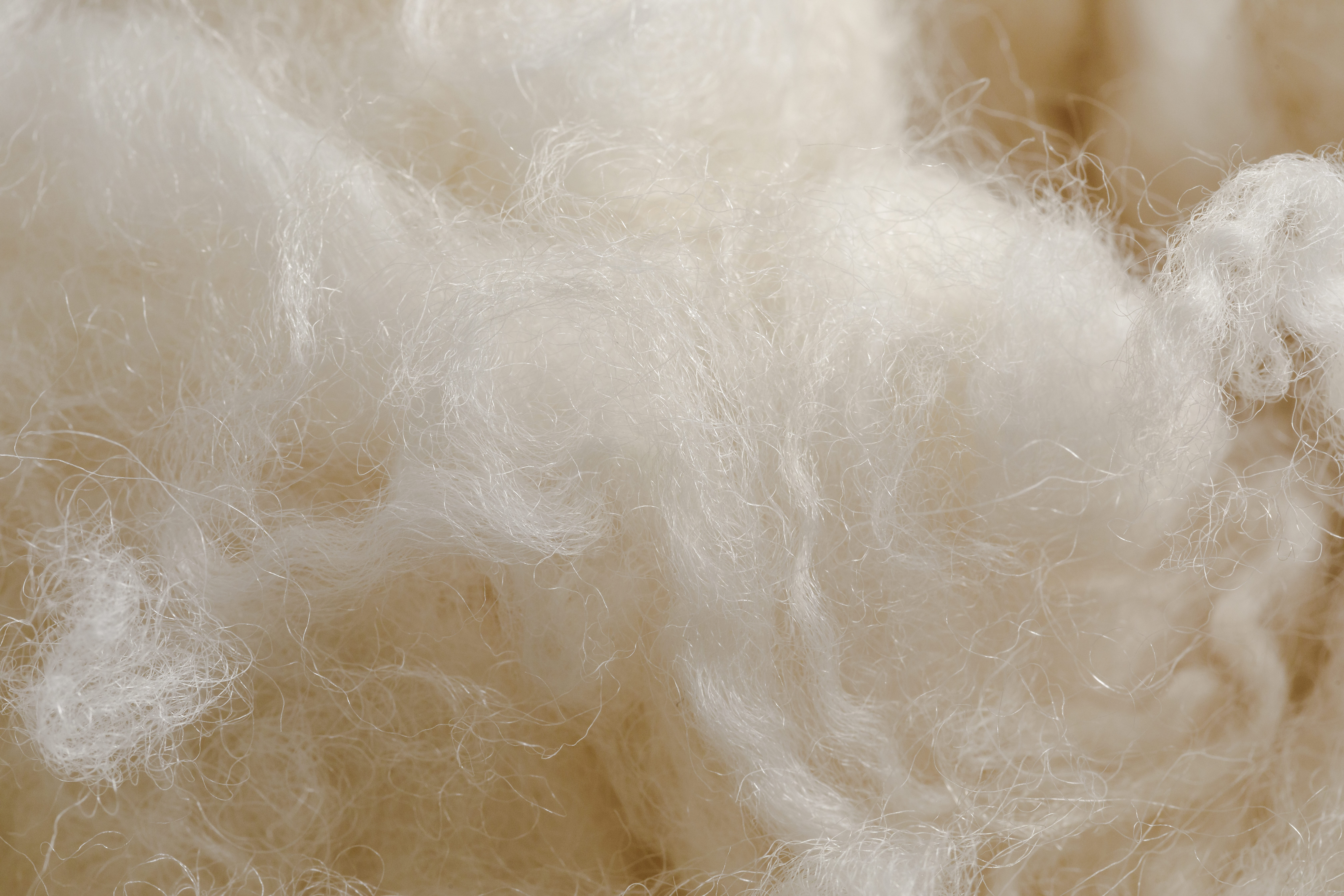 23.01.18_Woolchemy_Products_Shoot1_Photos_021